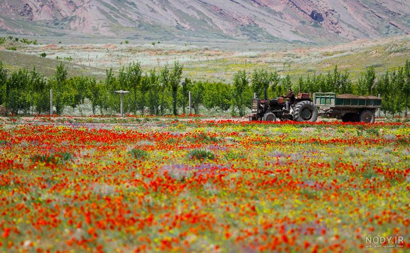 جاهای دیدنی هادیشهر جاهای دیدنی هادیشهر