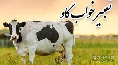 خرید دستگاه تشخیص آبستنی دام خرید دستگاه تشخیص آبستنی دام