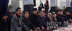 زرنق هریس