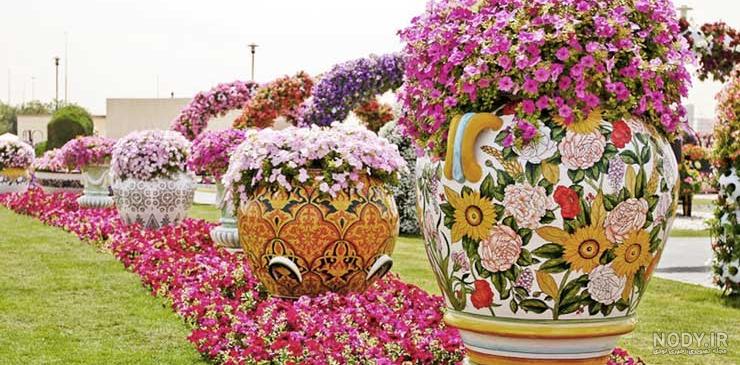 زیباترین گلهای دنیا زیباترین گلهای دنیا