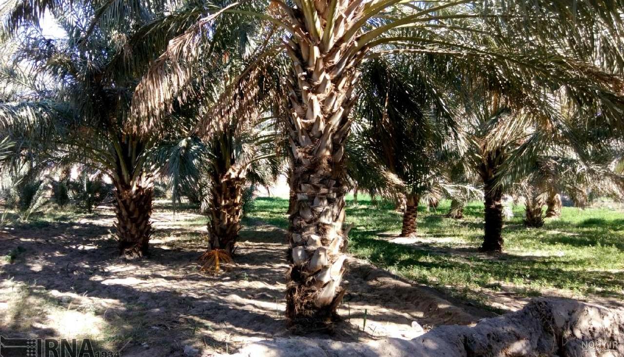 سفر به طرود سفر به طرود