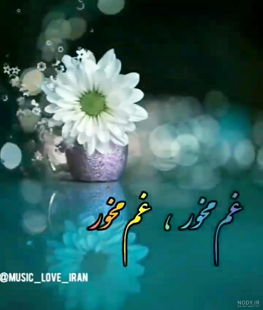 شجریان کوتاه