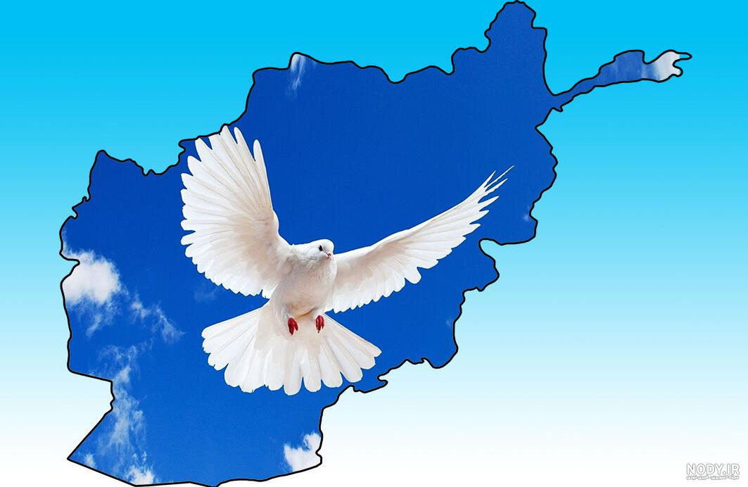 صلح در افغانستان pdf