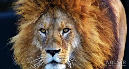 عکس ترسناک برای پروفایل عکس ترسناک برای پروفایل