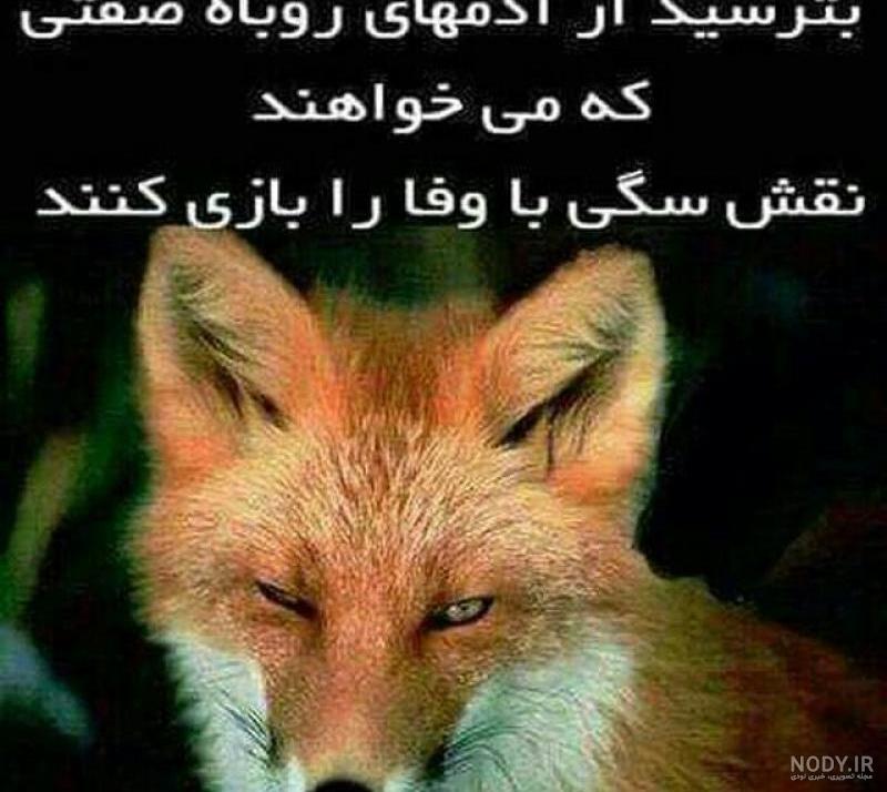 عکس شازده کوچولو با گل عکس شازده کوچولو با گل