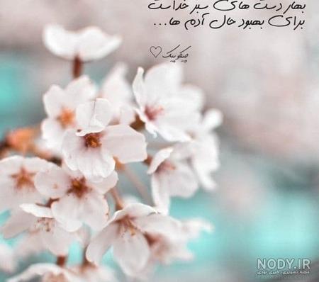 عکس طبیعت بهاری ایران عکس طبیعت بهاری ایران