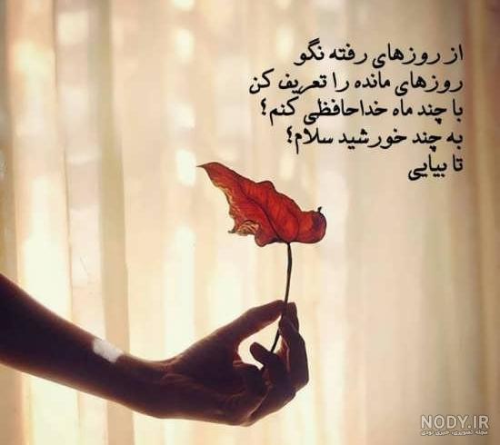 عکس نوشته بهترین خاله های دنیا