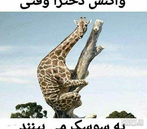 عکس های طنز