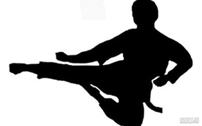 عکس کونگ فو بروسلی عکس کونگ فو بروسلی