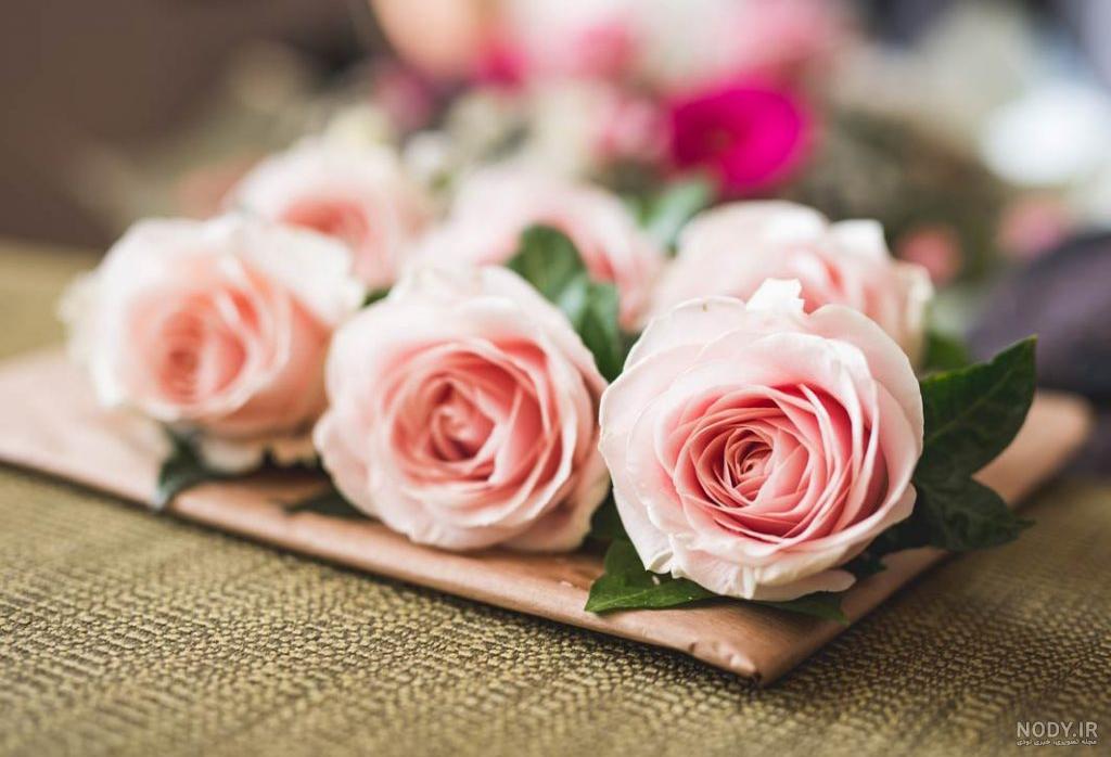 عکس گل برای پروفایل واتساپ نوشته دار عکس گل برای پروفایل واتساپ نوشته دار