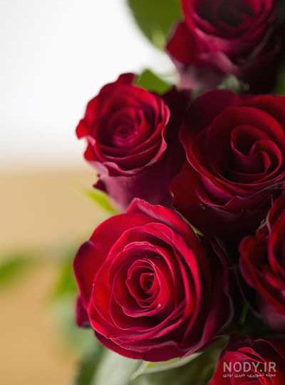عکس گوی شیشه ای دخترانه عکس گوی شیشه ای دخترانه