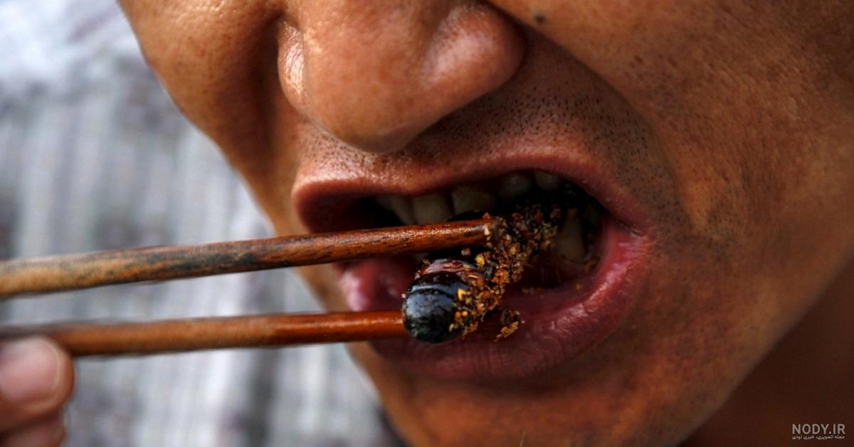 غذای چین غذای چین