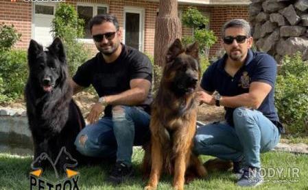 قیمت توله سگ ژرمن ماده