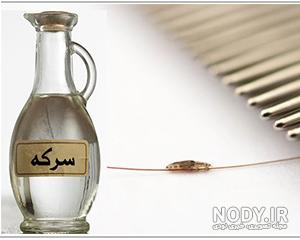 قیمت شامپو ضد شپش ایرانی