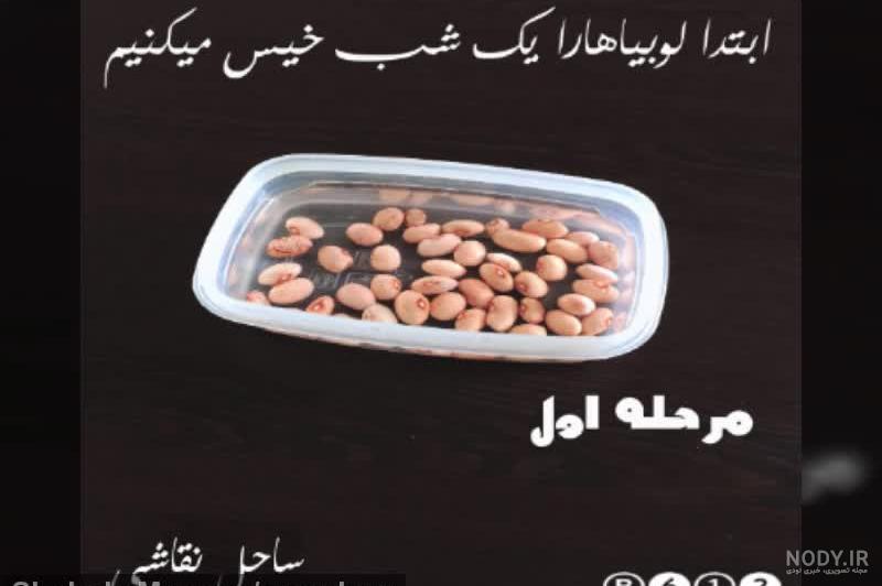 نحوه کاشت لوبیا قرمز در مزرعه