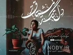کلیپ عاشقانه همایون شجریان