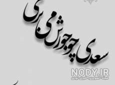 کلیپ همایون شجریان چرا رفتی