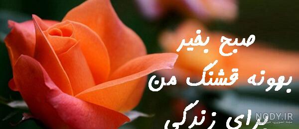 دانلود عکس صبح بخیر دانلود عکس صبح بخیر
