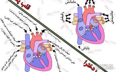 عکس m روی دست عکس m روی دست