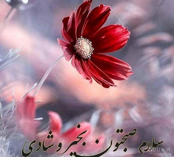 عکس صبح بخیر با صبحانه