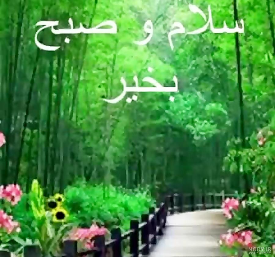 عکس خفن عکس طبیعت با متن صبح بخیر