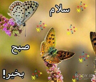 عکس خفن عکس طبیعت با متن صبح بخیر