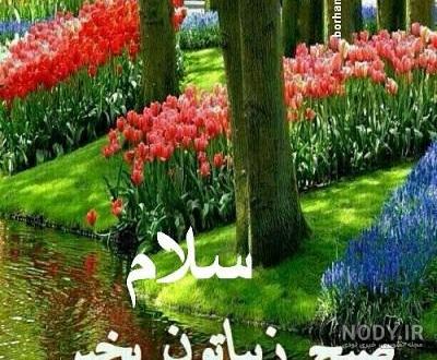 عکس طبیعت با متن صبح بخیر