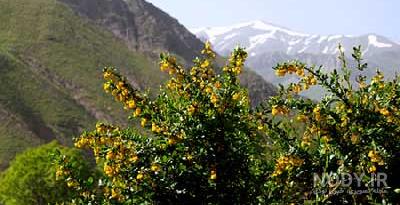 آب و هوای روستای ایگل آب و هوای روستای ایگل