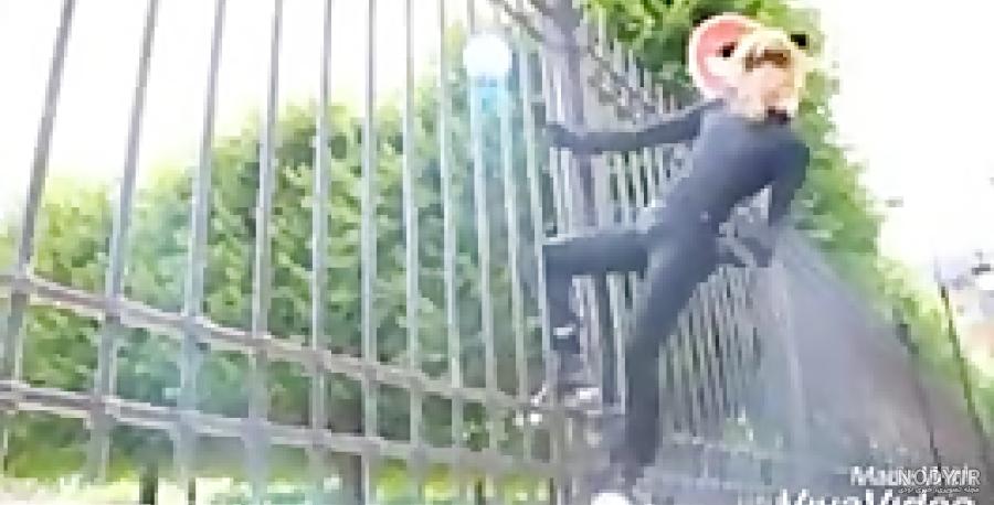 آیا دختر کفشدوزکی و گربه ی سیاه وجود دارد آیا دختر کفشدوزکی و گربه ی سیاه وجود دارد
