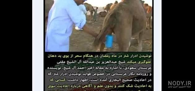 استبرا چیست استبرا چیست