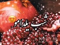 استوری شب یلدا مبارک استوری شب یلدا مبارک