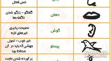 تعبیر پرواز در فال قهوه