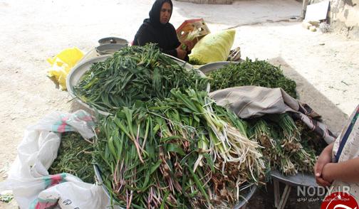 خواص دمنوش زرشک سیاه