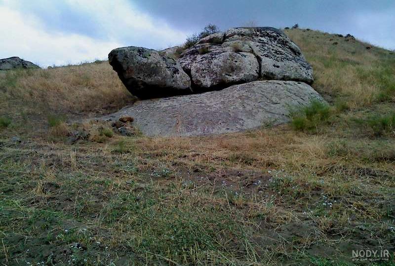 دفینه در لاک لاک پشت دفینه در لاک لاک پشت