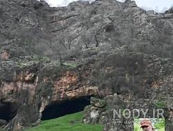 دفینه لاک پشت بی دست و پا دفینه لاک پشت بی دست و پا
