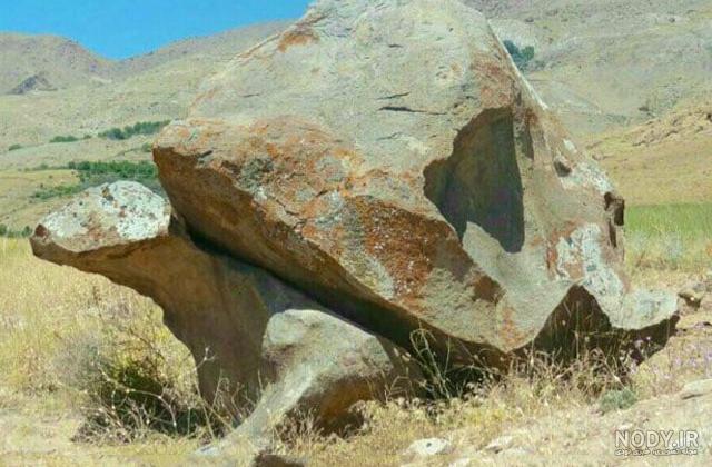 دو لاکپشت در دفینه دو لاکپشت در دفینه