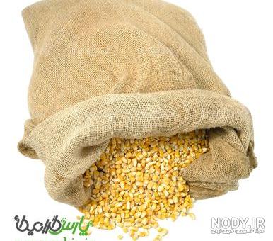 روش کاشت لپه