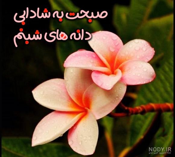 زیباترین متن صبح بخیر