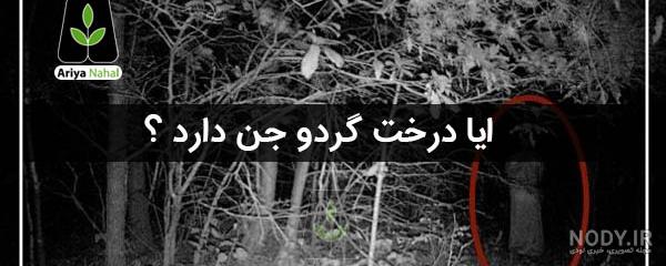 زیباترین مناظر طبیعی ایران و جهان زیباترین مناظر طبیعی ایران و جهان