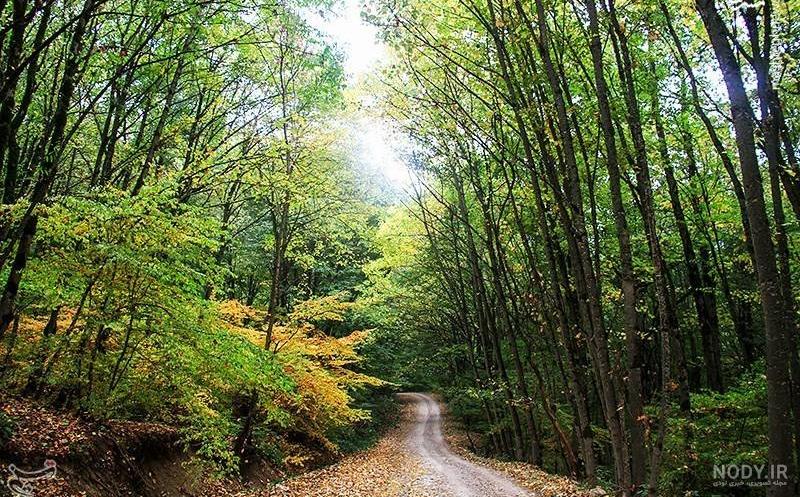 زیبایی های دنیا