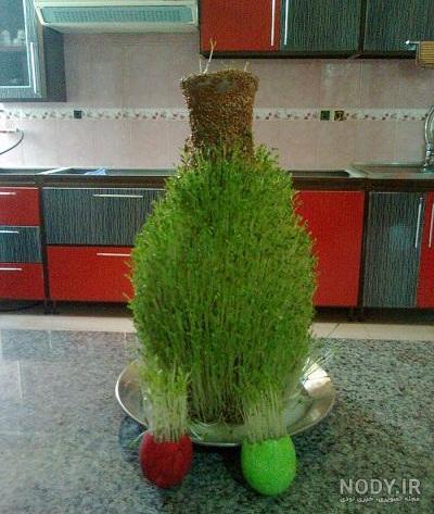 سبزه روی کوزه سبزه روی کوزه