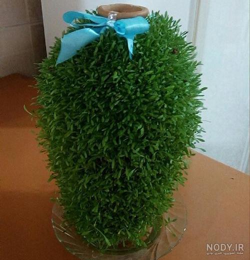 سبزه شاهی روی کوزه سبزه شاهی روی کوزه