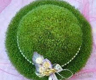 سبزه شاهی روی کوزه سبزه شاهی روی کوزه