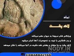 سر لاک پشت سر لاک پشت