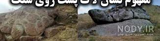 سربار دفینه لاک پشت کجاست سربار دفینه لاک پشت کجاست