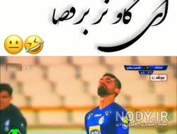 شعار ضد استقلال بی ادبی