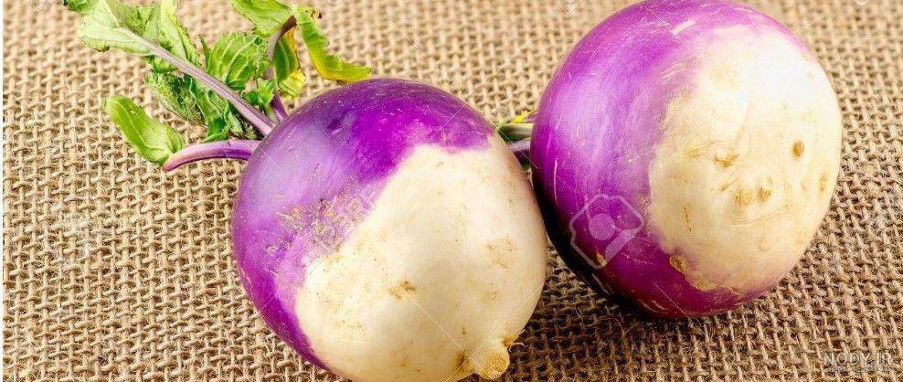 طنز جدید شلغم شو طنز جدید شلغم شو