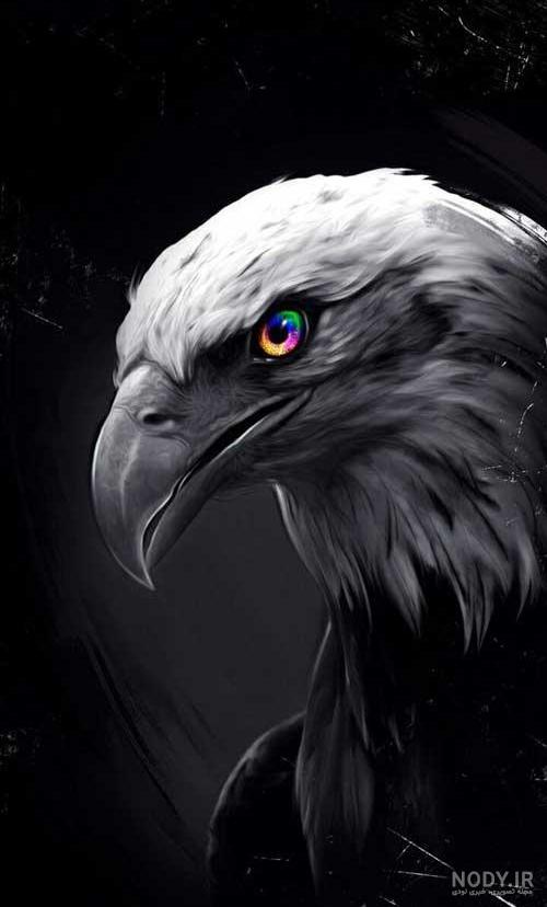 عکس خالی برای نوشتن متن سیاه عکس خالی برای نوشتن متن سیاه
