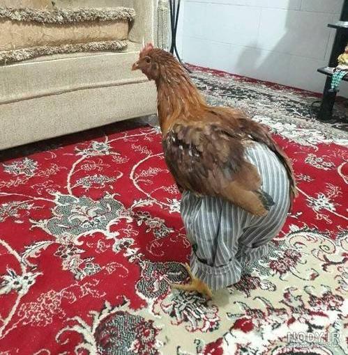 عکس خنده دار جدید باحال