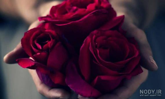 عکس دختر با گل برای پروفایل